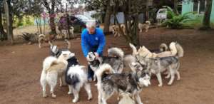 New Lease For Husky Rescue KZN, ZAR