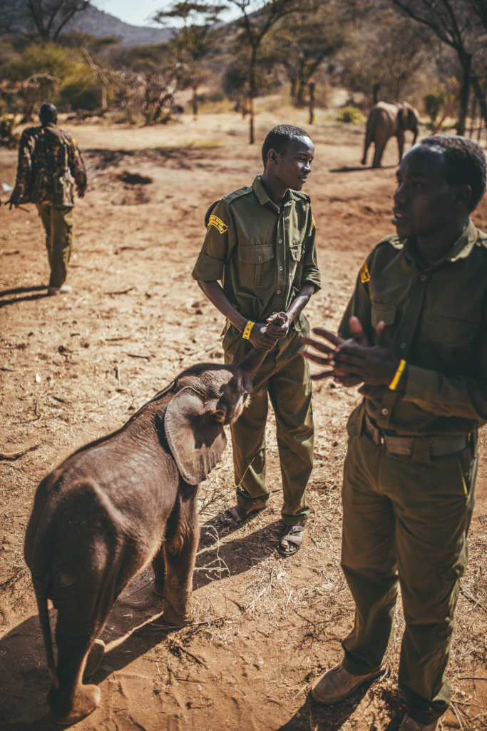 Supplies for Orphans at Reteti Elephant Sanctuary