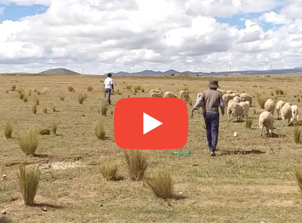 Give the Gift of Education to Bolivian Girls