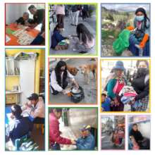 Voluntarios