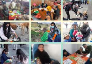 Voluntariado