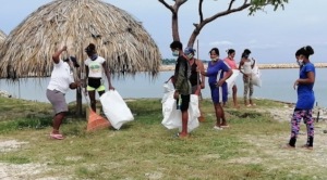 Youngsters clean up the beach.