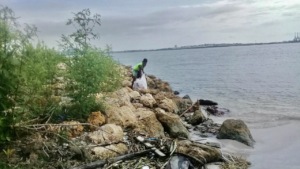 Young boy aids by cleaning the coastal area!