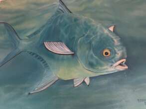 Fish by Diana Diaz