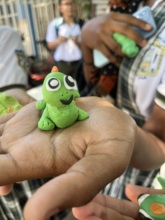 Iguana workshop in Cano el Oro