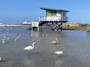 2024 Inundations in Cartagena