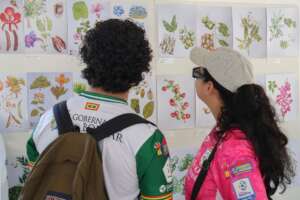 Paint a watercolour of your own!