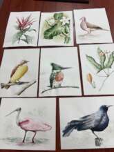 UPCOMING FLORA AND BIRD ART EXHIBIT