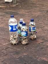 Cigarette butts collected in one day