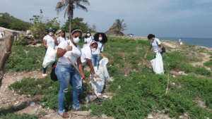 Volunteers in cleaning day trips