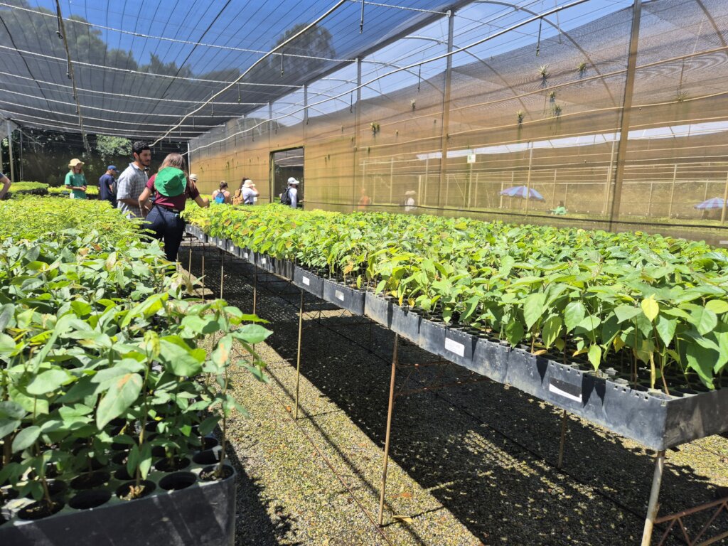 FieldWork