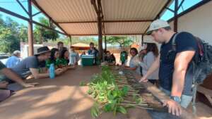 Community nurseries for restoration