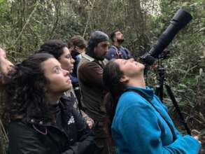 Following Black Lion Tamarins