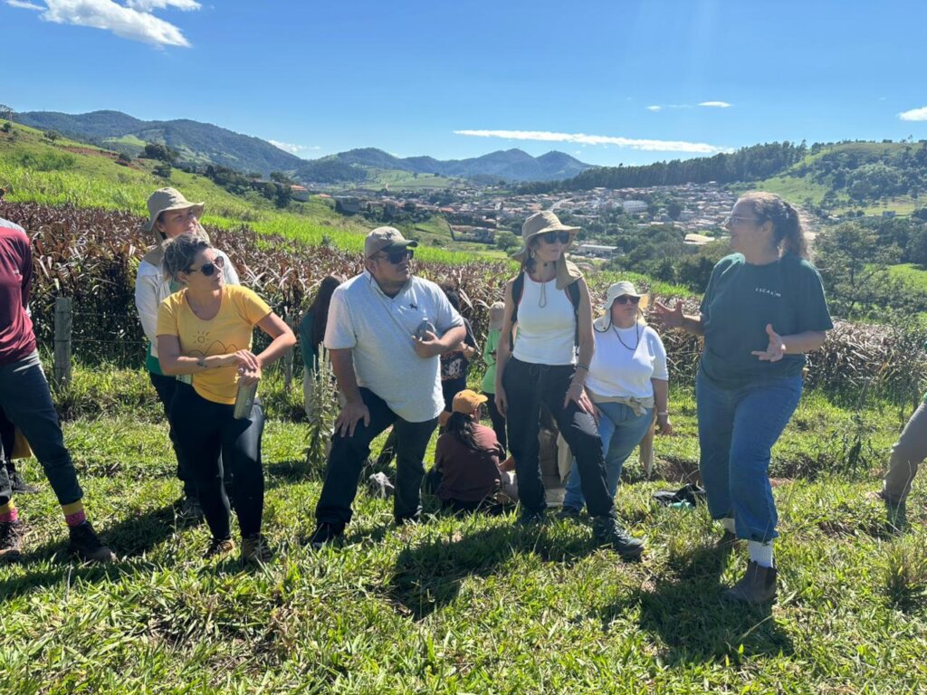 Learning in the field