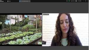 Dissertation on Agroecology Projects