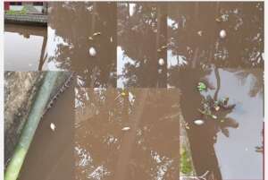 Water pollution