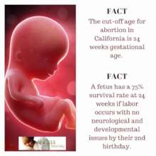 The Facts 2020
