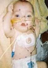 Sammy at Two Years Of Age~  Sick but Viable!