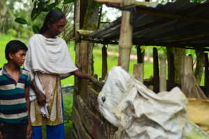 A kawra family beside Hog shed