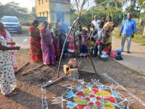 Pongal cooking