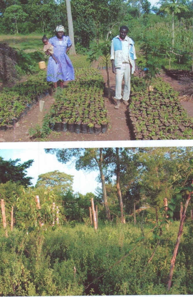 a family at their newly established garden