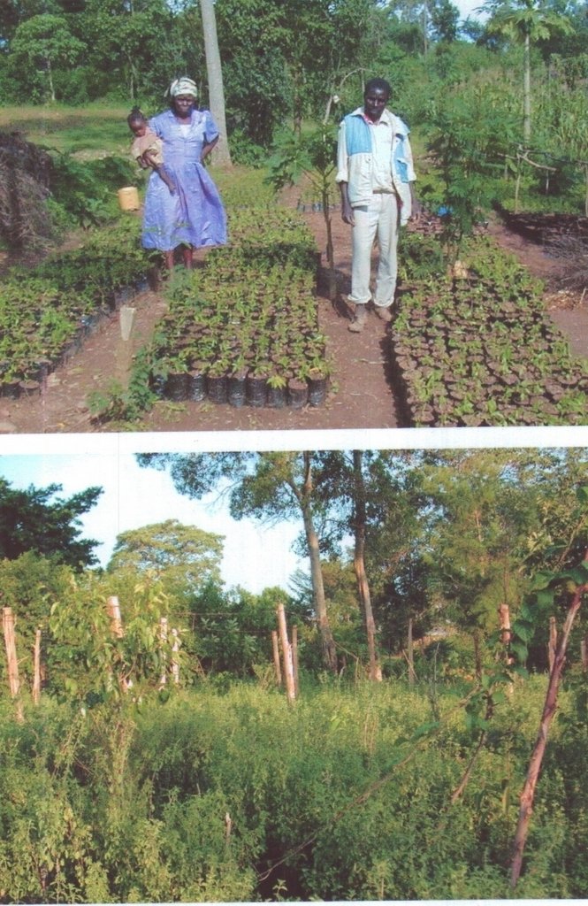Help  800 Kenyan Villagers in medicinal plants