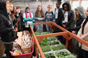 Students Planting for Peace