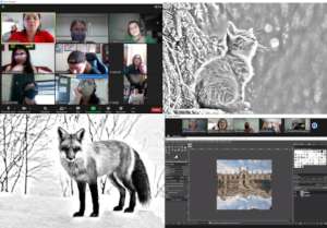 Online pilot workshop focused on image editing