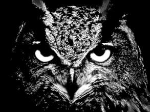 Image editing project created by Melissa Sanchez
