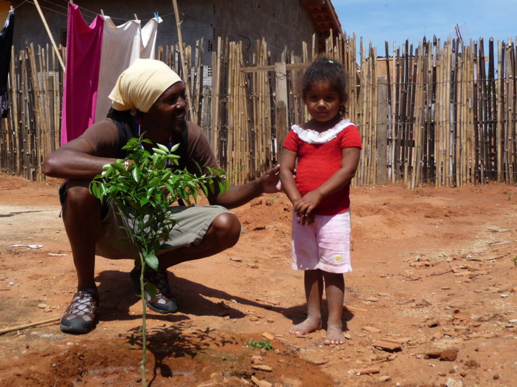 Replanting fruit trees in Brazil