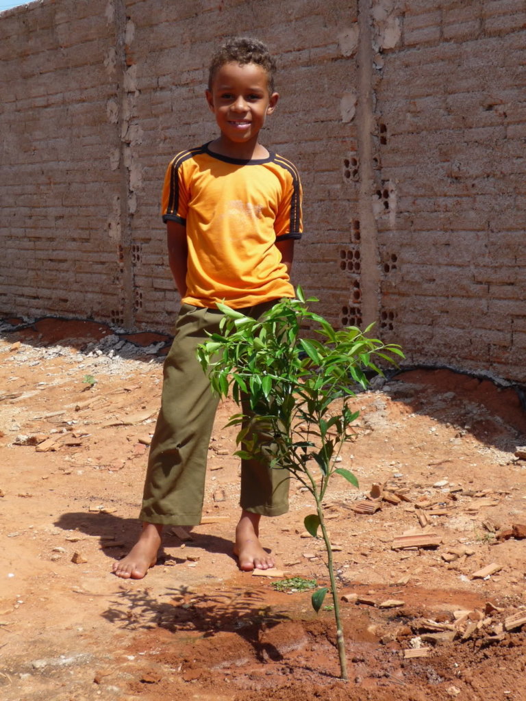 Replanting fruit trees in Brazil