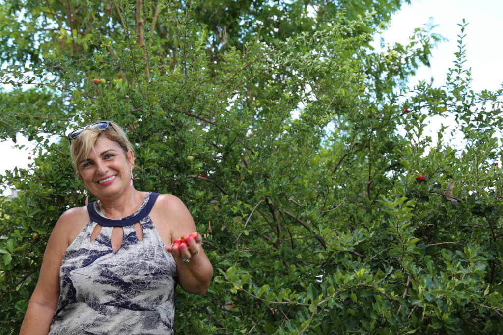 Replanting fruit trees in Brazil