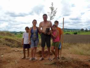 Fruit trees for families