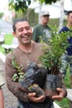 Distributing fruit trees in Mococa's town square