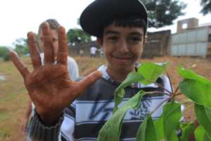 Replanting fruit trees in Brazil