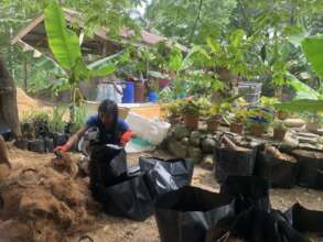 Providing farming inputs