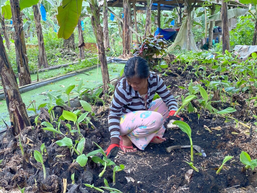 Continue with support