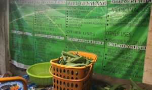 Herbal tea production