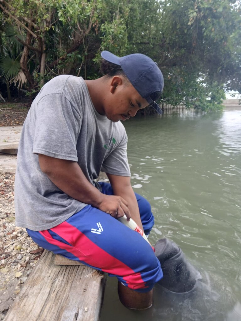 Damien - a valuable addition to the Manatee Team