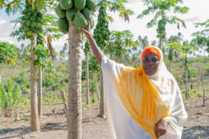 Latifah stands in her papaya grove