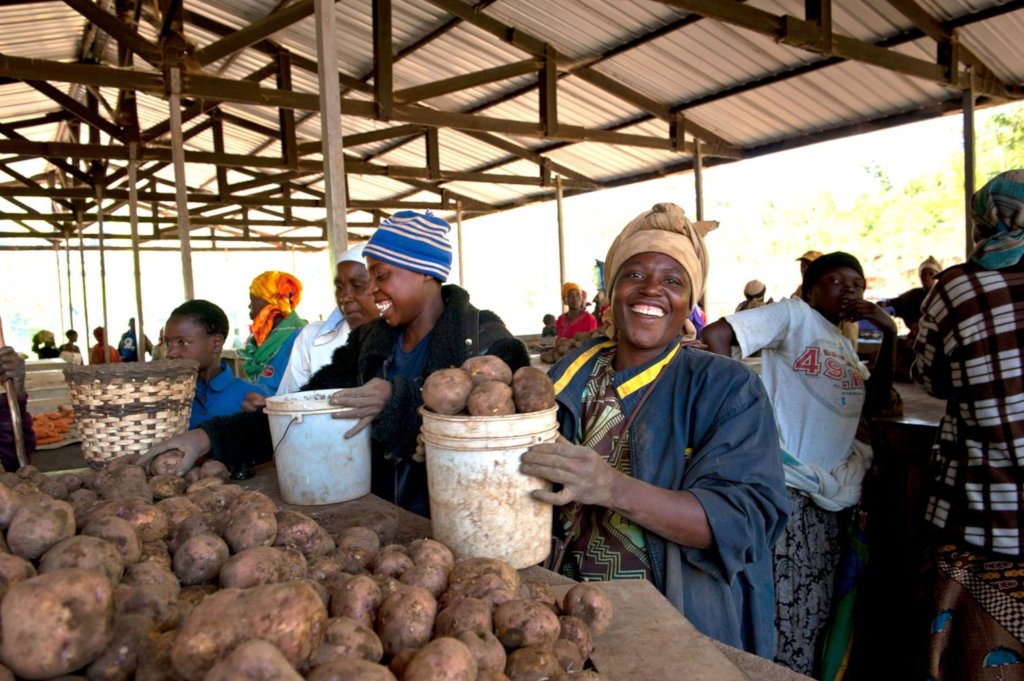Help rural farmers in Africa gain access to land
