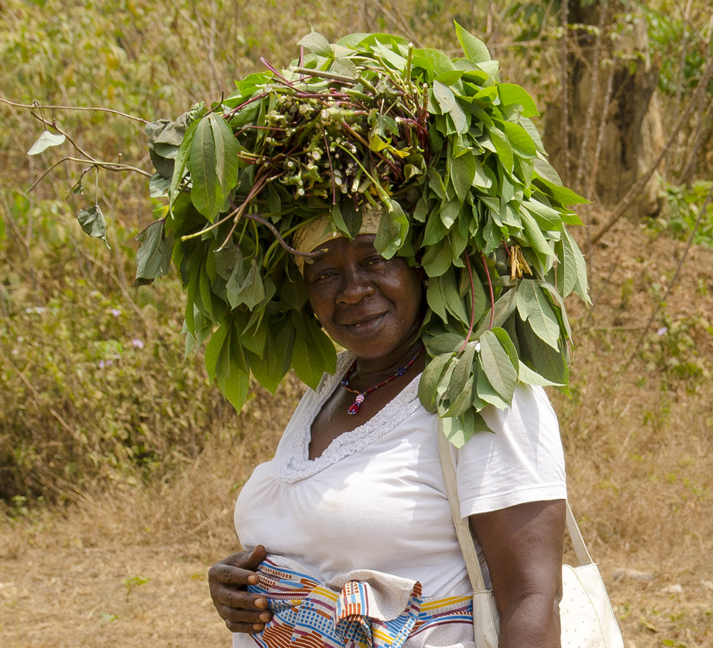 Help rural farmers in Africa gain access to land