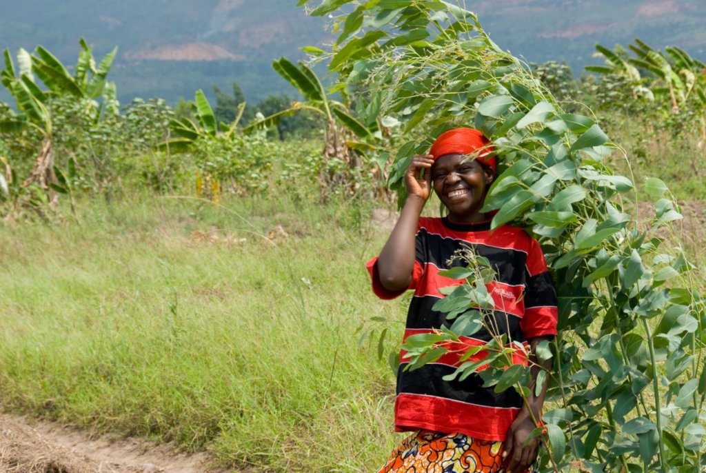 Help rural farmers in Africa gain access to land
