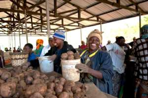 Economic Empowerment