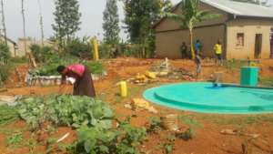 REDUCE POVERTY FOR 1000 POOR  WIDOWS IN GICUMBI