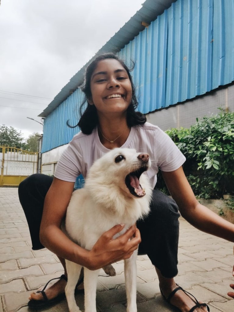 Provide Medical Care to Bangalore's Street Animals