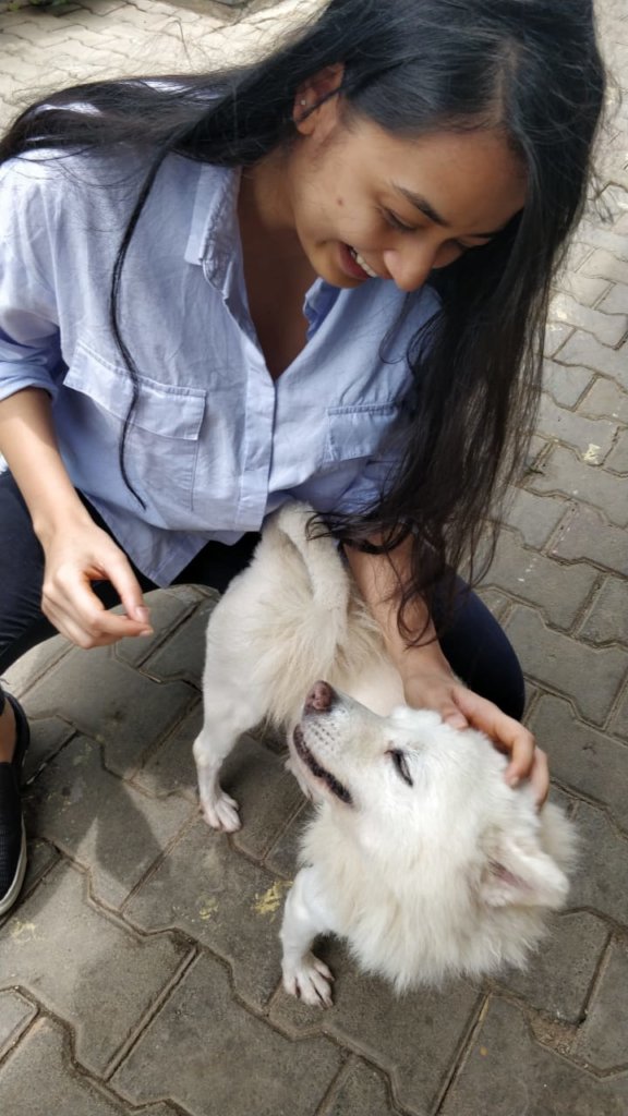 Provide Medical Care to Bangalore's Street Animals