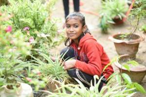 All about our Environment!