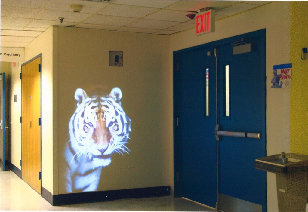 Bring creativity and hope to public hospitals