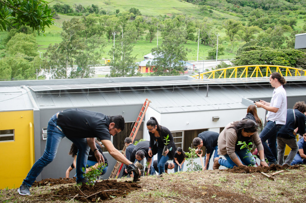 Save Earth through yoga & meditation in Costa Rica